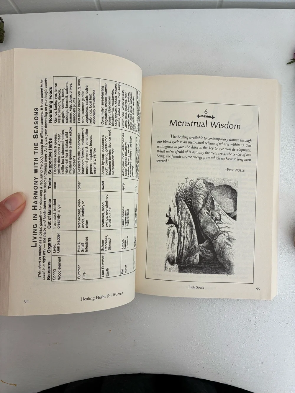 Healing Herbs for Women by Deb Soule — Natural Remedies Book (Multicolor)